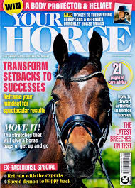 Your Horse