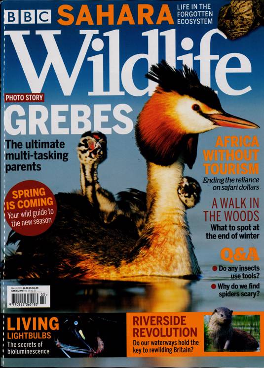 BBC Wildlife