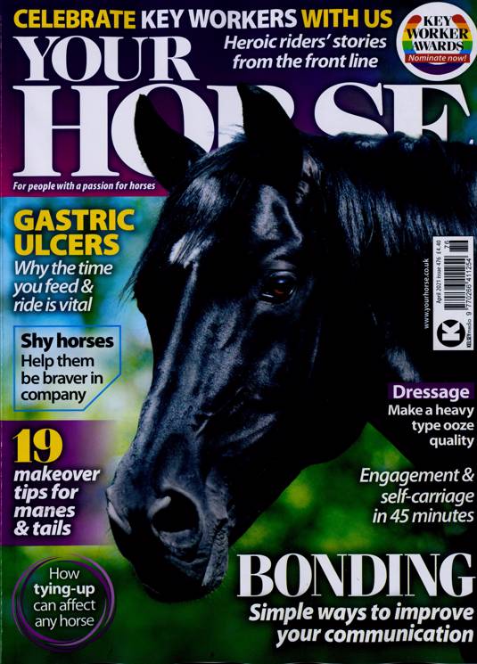 Your Horse
