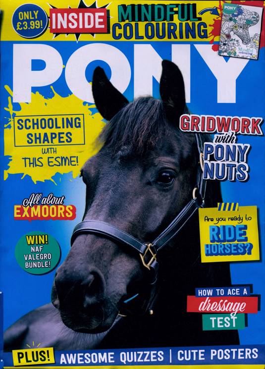 Pony