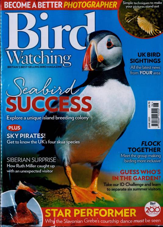 Bird Watching