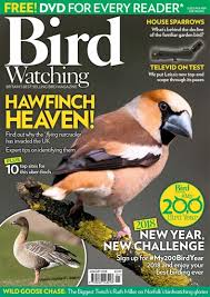 Bird Watching