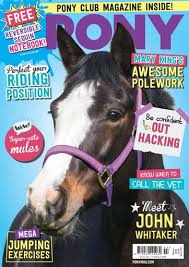 Pony