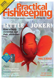 Practical Fishkeeping