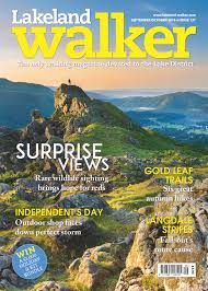 Lakeland Walker