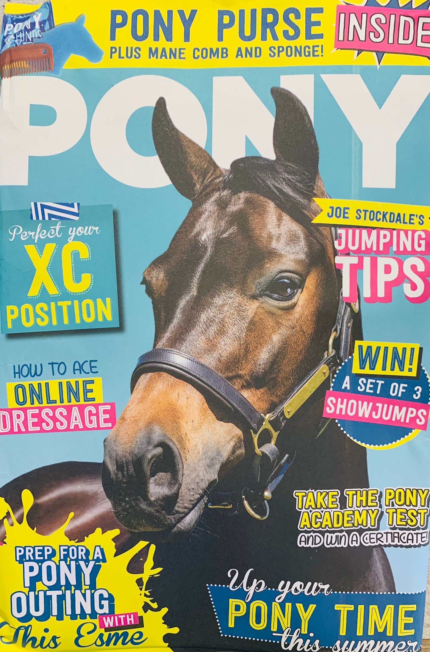 Pony