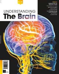 Bz Understanding The Brain